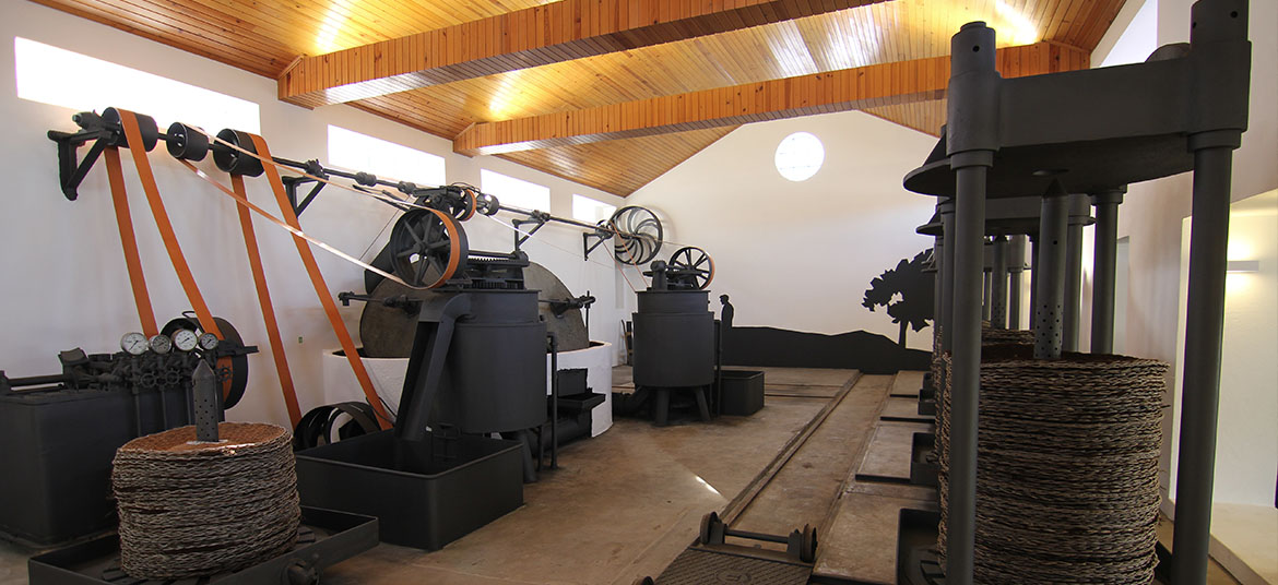 Olivenölmuseum